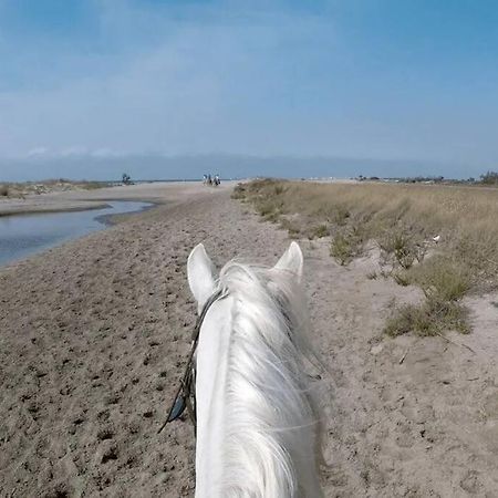 "Le Nature" Camargue Jardin Αρλ Εξωτερικό φωτογραφία
