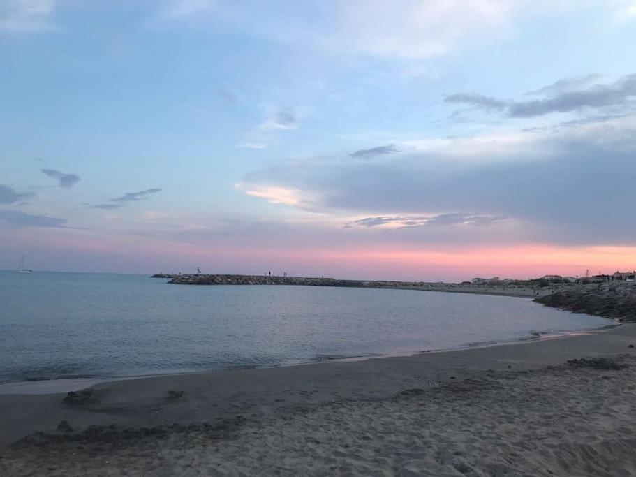 "Le Nature" Camargue Jardin Αρλ Εξωτερικό φωτογραφία