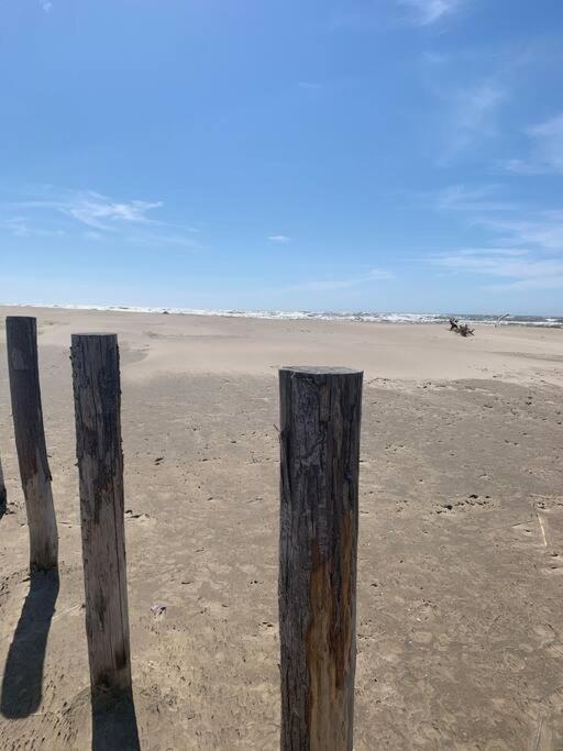 "Le Nature" Camargue Jardin Αρλ Εξωτερικό φωτογραφία