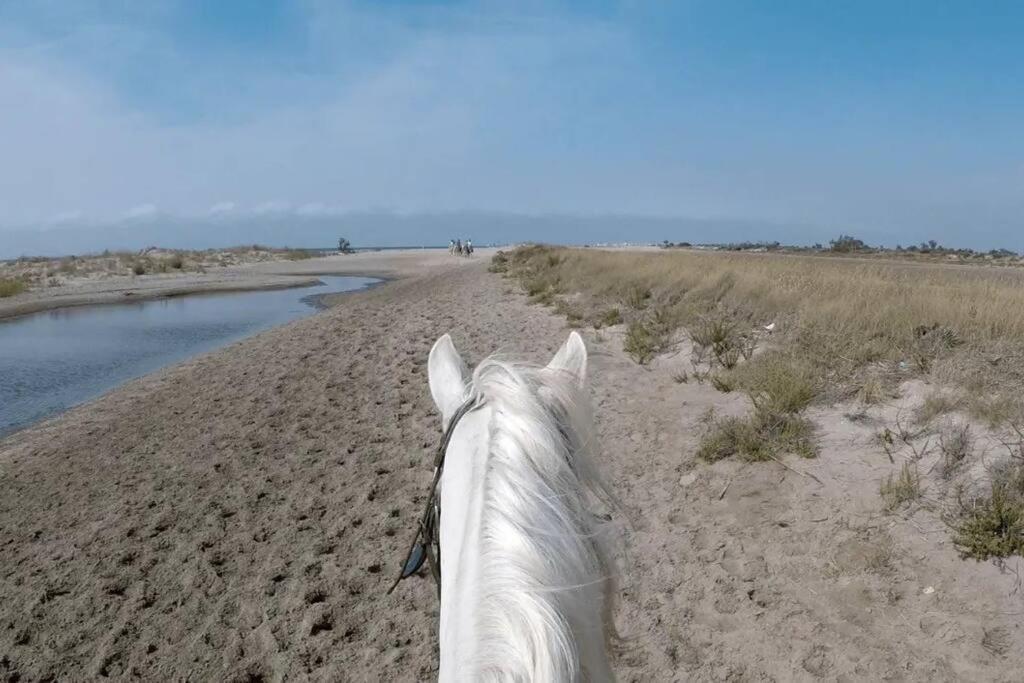 "Le Nature" Camargue Jardin Αρλ Εξωτερικό φωτογραφία