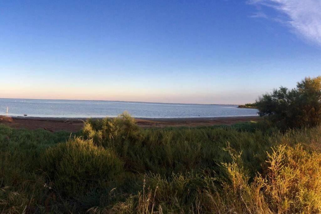 "Le Nature" Camargue Jardin Αρλ Εξωτερικό φωτογραφία